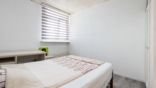 Windmolenstraat - 157 - - 2660