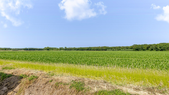 Zoutweg - 34 - - 9950