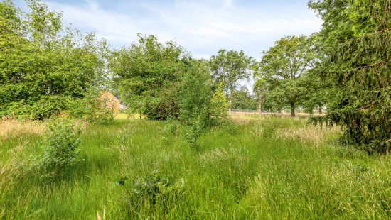 Molenbaan - 44 - - 2290