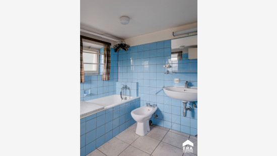 Boomgaardstraat - 17 - - 3550