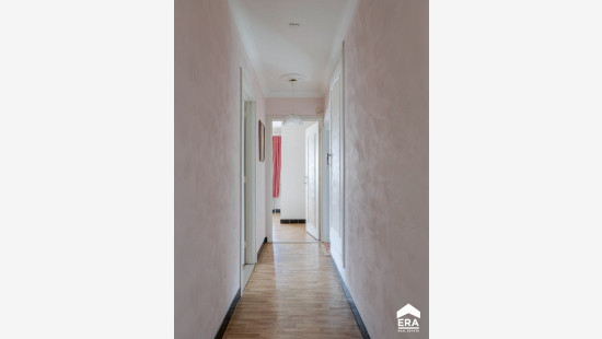 Boomgaardstraat - 17 - - 3550