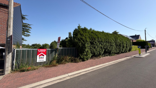 Rue des Ecoles - T - - 4530