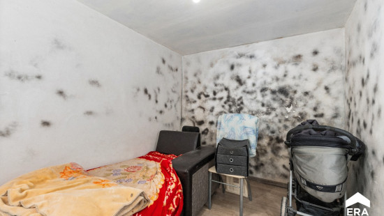 Pastorijstraat - 177 - - 3300