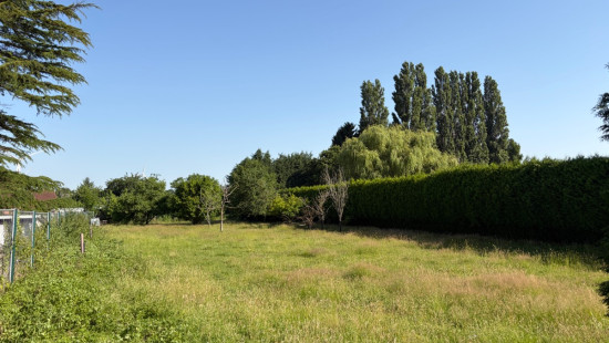 Rue des Ecoles - T - - 4530