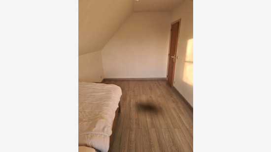 Chaussée de Warneton - 256 - - 7784