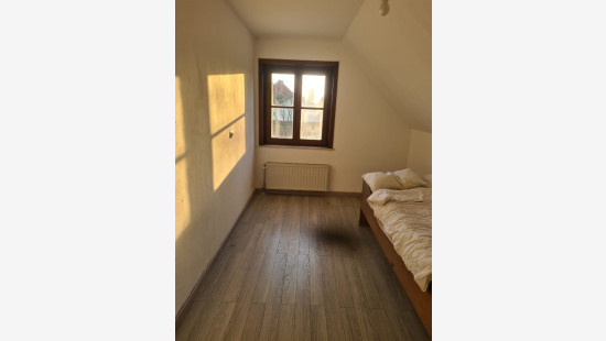 Chaussée de Warneton - 256 - - 7784