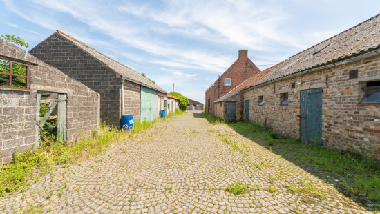Langgeleedstraat - 2 - - 8660