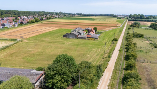 Langgeleedstraat - 2 - - 8660