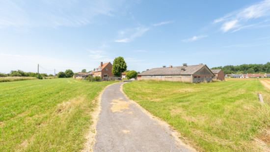 Langgeleedstraat - 2 - - 8660