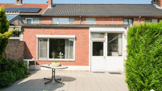 Wittesteenstraat - 13 - - 3990