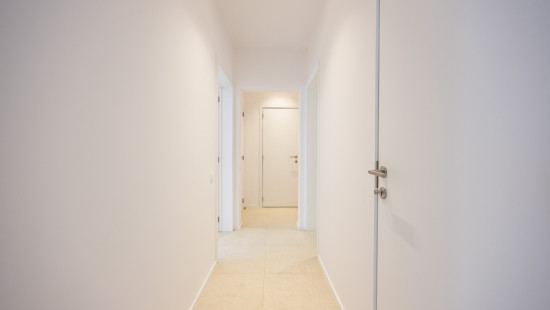 Druivenstraat - 2 - 1 - 2300