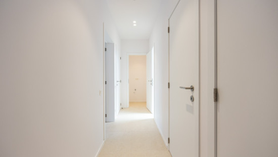 Druivenstraat - 2 - 4 - 2300