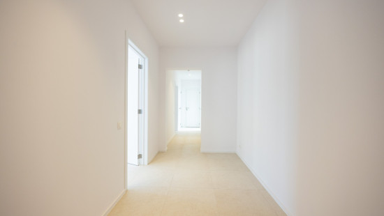 Druivenstraat - 2 - 3 - 2300