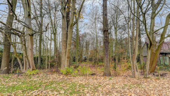 Wilgenlaan - 26 - - 1820