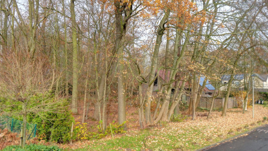 Wilgenlaan - 26 - - 1820