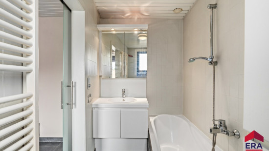 Leuvestraat - 218 - - 9320