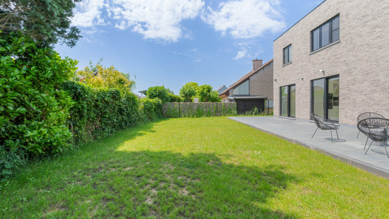 Guldendelle - 44 - - 1930
