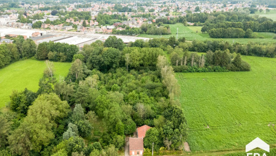 Antwerpsedries - 28 - - 2440
