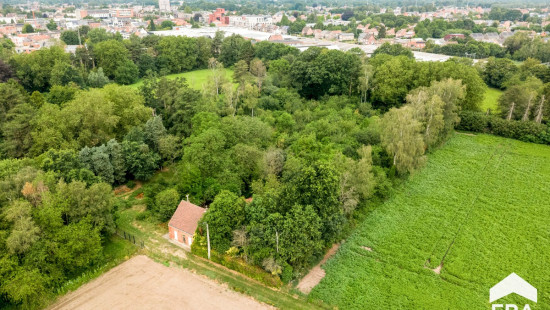 Antwerpsedries - 28 - - 2440