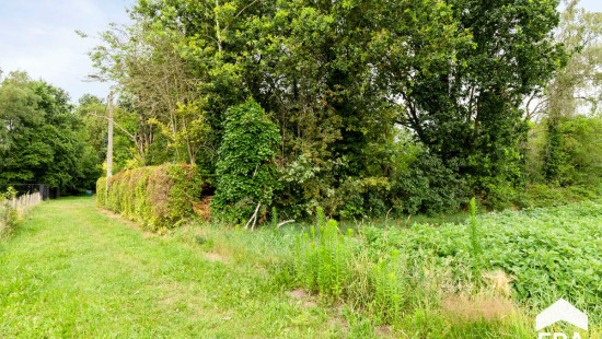 Antwerpsedries - 28 - - 2440