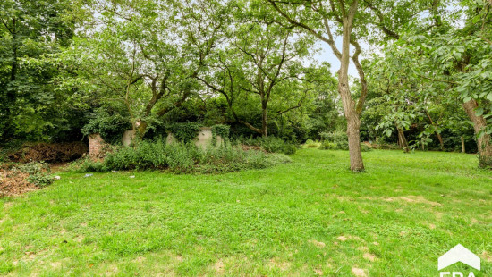 Antwerpsedries - 28 - - 2440
