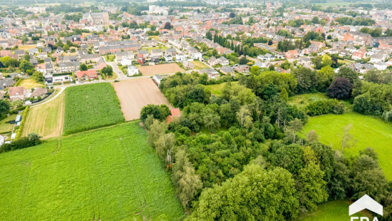Antwerpsedries - 28 - - 2440