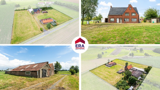 Cauwenteynestraat - 11 - - 8750