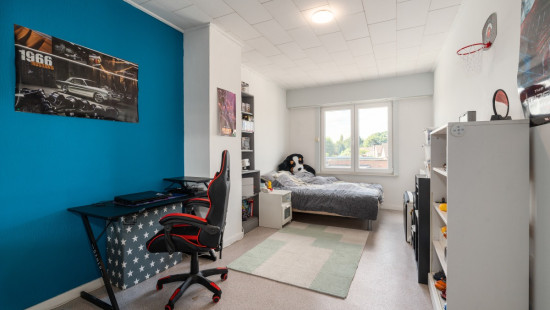 Raverschootstraat - 271 - - 9900