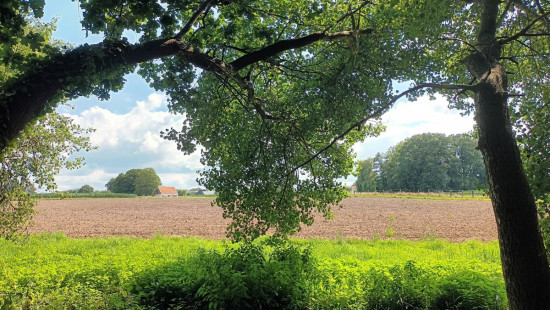 Vijverbos - 71 - - 8980