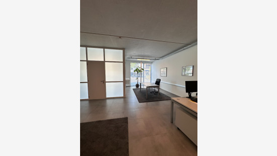 Hertog Janplein - 17 - - 3920