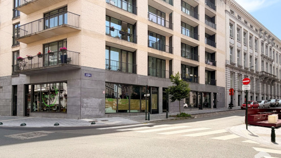Rue du Parlement - 1 - - 1000
