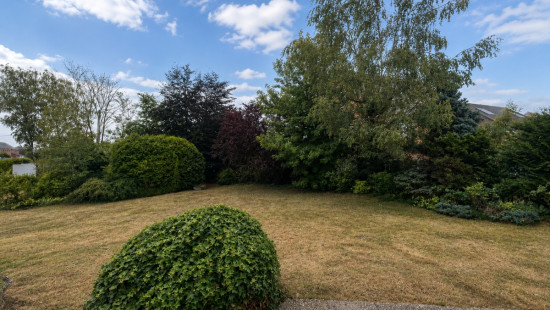 Stokrooieweg - 38 - - 3511