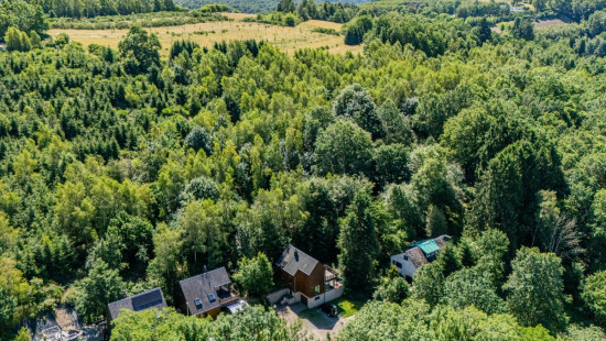 rue du Terme - 2A - - 6887