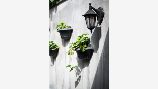 Wasstraat - 66 - - 2600