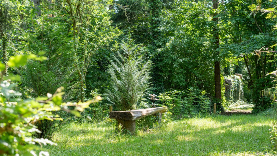 Reinakkerweg - 13A - - 9170