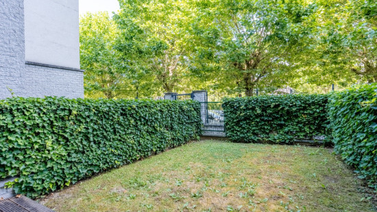 Avenue du Sippelberg - 6 - - 1080
