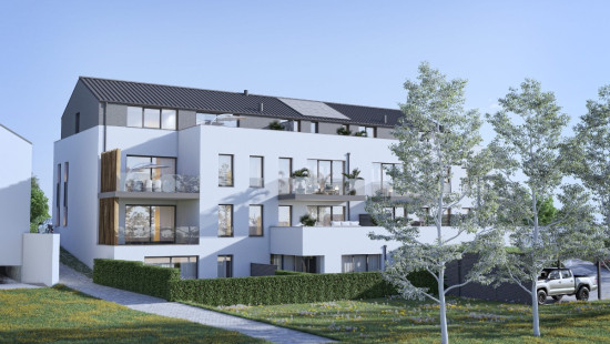 Rue du Bois d'Hazy - 1 - -1.2 - 1 - 6600