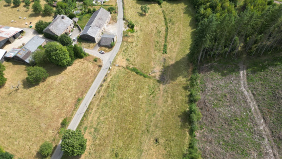 Buisson - LOT 3 - division - 6980