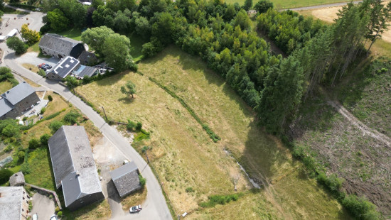 Buisson - LOT 3 - division - 6980