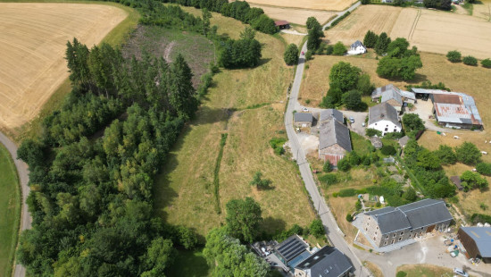 buisson - LOT 2 - division - 6980