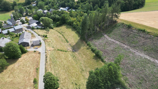 buisson - LOT 2 - division - 6980