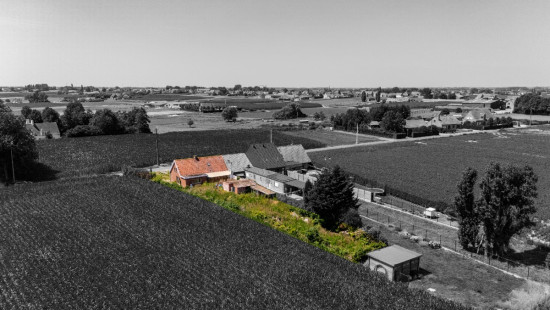 Eeckbosstraat - 15 - - 8760