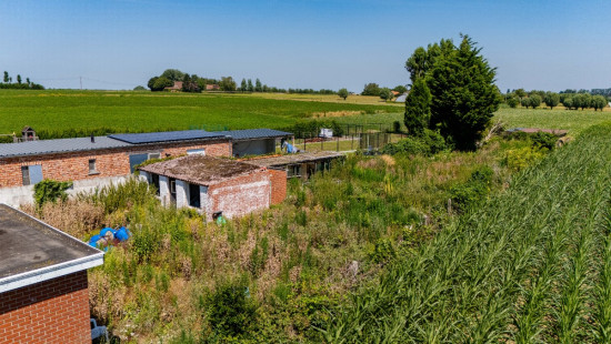 Eeckbosstraat - 15 - - 8760