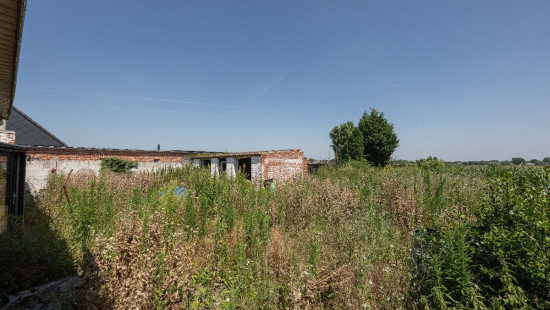 Eeckbosstraat - 15 - - 8760