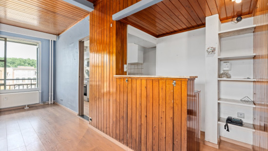 Halewijnlaan - 57 - 0203 - 2050