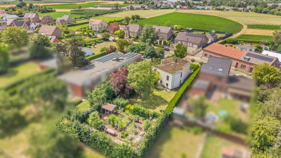 Lindestraat - 10 - - 3500