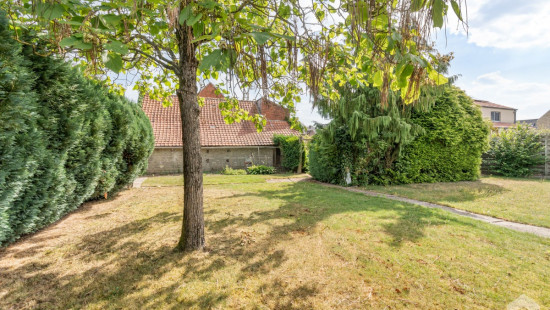 Lindestraat - 31 - - 3500