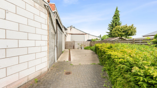 Vlasbloemstraat - 24-26 - - 9100