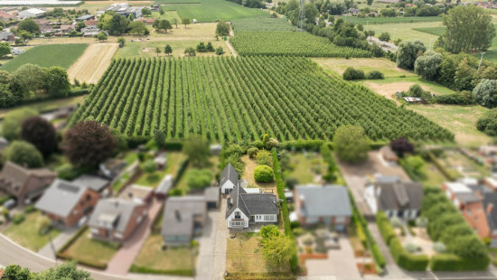 Aardbruggenstraat - 46 - - 3570