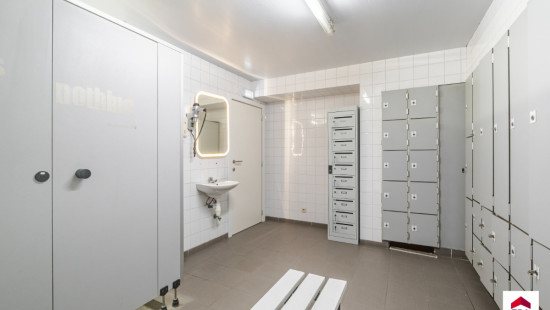 Wijngaardstraat - 36 - - 1703